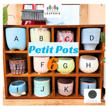 Load image into Gallery viewer, Petit Flowerpots (Series 6)