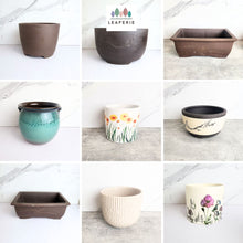 Load image into Gallery viewer, The Leaferie As-Is May 25 (9items). Defective flowerpot