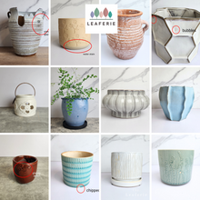 Load image into Gallery viewer, The Leaferie As-is Feb 24. 15 pots