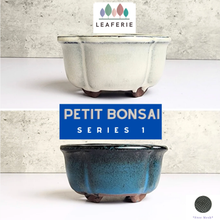 Load image into Gallery viewer, Petit Bonsai Flowerpot (Series 1)