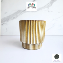 Load image into Gallery viewer, The Leaferie Mercen Beige stripe ceramic pot