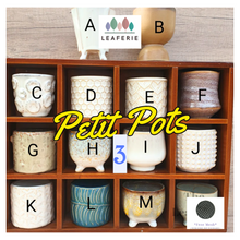 Load image into Gallery viewer, Petit Flowerpots (Series 3)