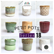 Load image into Gallery viewer, Petit Flowerpots (Series 18)