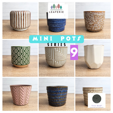 Load image into Gallery viewer, Mini Flowerpots (Series 9) 10cm