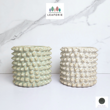 Load image into Gallery viewer, The Leaferie Kyllo spike ceramic flowerpot.