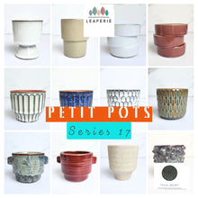 Load image into Gallery viewer, Petit Flowerpots (Series 17)