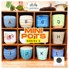 Load image into Gallery viewer, Mini Flowerpots (Series 3) 10cm