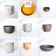 Load image into Gallery viewer, The Leaferie As-Is Pot April 25. 9 items