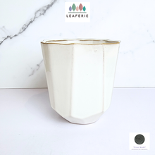 Load image into Gallery viewer, The Leaferie Quy white pot. ceramic material