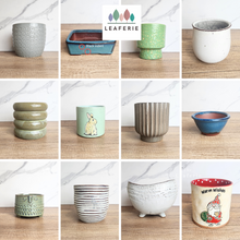 Load image into Gallery viewer, As-Is Pots Batch November 2023 (13 items)
