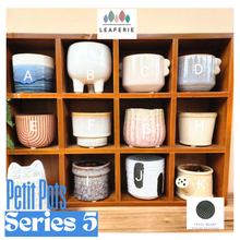 Load image into Gallery viewer, Petit Flowerpots (Series 5)