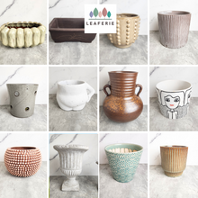 Load image into Gallery viewer, The Leaferie As-is august 24. 12 items