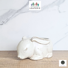 Load image into Gallery viewer, The Leaferie Trudie rabbit/ bunny flowerpot. ceramic material