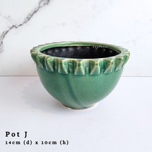 Load image into Gallery viewer, The Leaferie As-Is Batch june 2024. defective pot 12 pieces.