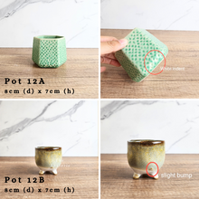 Load image into Gallery viewer, As-Is Batch January 2024 (15 items)