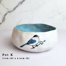 Load image into Gallery viewer, The Leaferie As-Is April 2024 flowerpots