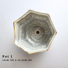 Load image into Gallery viewer, The Leaferie As-is Sale March 24. Pot J