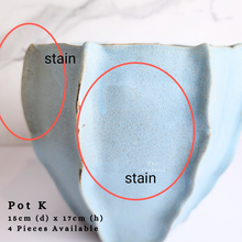 Load image into Gallery viewer, The Leaferie As-is Feb 24. Pot K