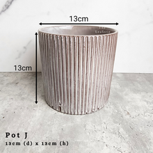 Load image into Gallery viewer, The Leaferie As-is august 24. 12 items