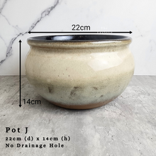 Load image into Gallery viewer, the Leaferie As-is september 2024. 12 pot