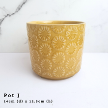 Load image into Gallery viewer, The Leaferie AS-Is May 2024. 12 pieces ceramic pots