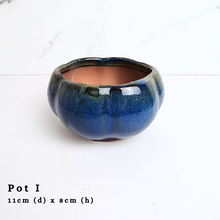 Load image into Gallery viewer, The Leaferie AS-IS october 24. 8 items