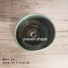 Load image into Gallery viewer, The Leaferie AS-IS Pots December 23. Pot 12