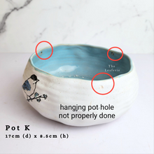 Load image into Gallery viewer, The Leaferie As-Is April 2024 flowerpots