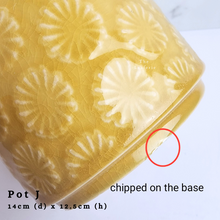 Load image into Gallery viewer, The Leaferie AS-Is May 2024. 12 pieces ceramic pots