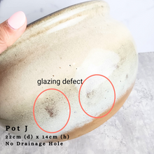 Load image into Gallery viewer, the Leaferie As-is september 2024. 12 pot