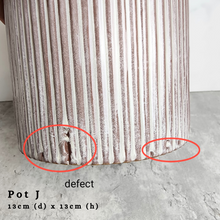 Load image into Gallery viewer, The Leaferie As-is august 24. 12 items