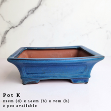 Load image into Gallery viewer, The Leaferie As-is Sale March 24. Pot K