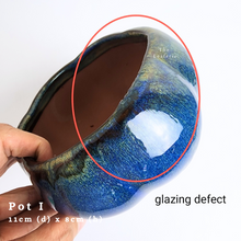 Load image into Gallery viewer, The Leaferie AS-IS october 24. 8 items