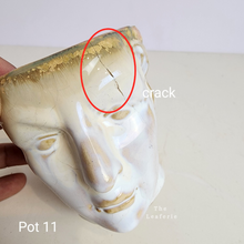 Load image into Gallery viewer, As-Is Pots Batch October 2023 (13 items)