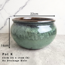 Load image into Gallery viewer, the Leaferie As-is september 2024. 12 pot