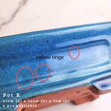 Load image into Gallery viewer, The Leaferie As-is Sale March 24. Pot K