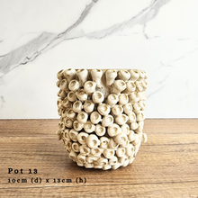 Load image into Gallery viewer, As-Is Batch January 2024 (15 items)