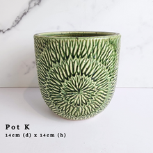 Load image into Gallery viewer, The Leaferie As-Is Batch june 2024. defective pot 12 pieces.