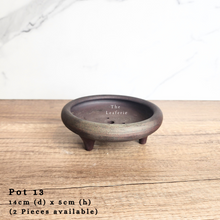 Load image into Gallery viewer, The Leaferie AS-IS Pots December 23. Pot 13