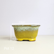 Load image into Gallery viewer, As-Is Pots Batch October 2023 (13 items)