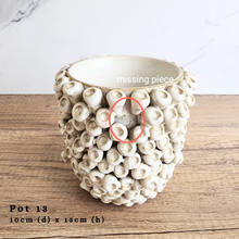 Load image into Gallery viewer, As-Is Batch January 2024 (15 items)