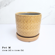 Load image into Gallery viewer, The Leaferie As-is Feb 24. Pot M