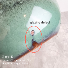 Load image into Gallery viewer, the Leaferie As-is september 2024. 12 pot