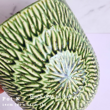 Load image into Gallery viewer, The Leaferie As-Is Batch june 2024. defective pot 12 pieces.