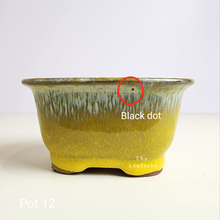 Load image into Gallery viewer, As-Is Pots Batch October 2023 (13 items)