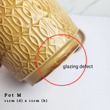 Load image into Gallery viewer, The Leaferie As-is Feb 24. Pot M