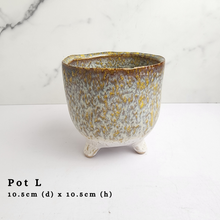 Load image into Gallery viewer, The Leaferie AS-Is May 2024. 12 pieces ceramic pots