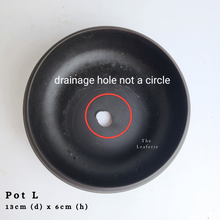 Load image into Gallery viewer, The Leaferie As-is Sale March 24. Pot L