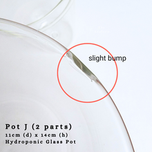 Load image into Gallery viewer, The Leaferie AS-IS october 24. 8 items