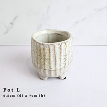 Load image into Gallery viewer, The Leaferie As-Is Batch june 2024. defective pot 12 pieces.